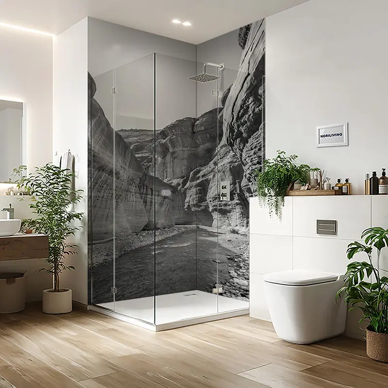 Glasdusche mit schwarzweiß Canyon-Motiv im modernen Bad
