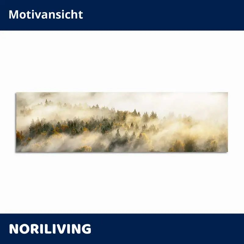 Panorama-Waldbild mit Nebel und herbstlichen Farben