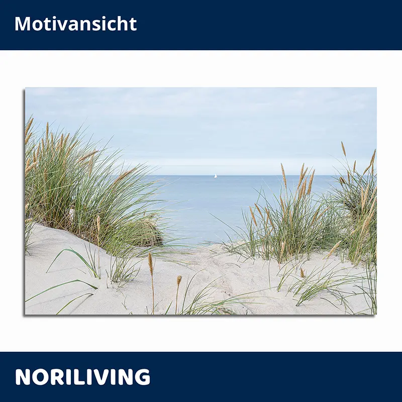 Stranddünen mit Gras und weitem Blick auf die See