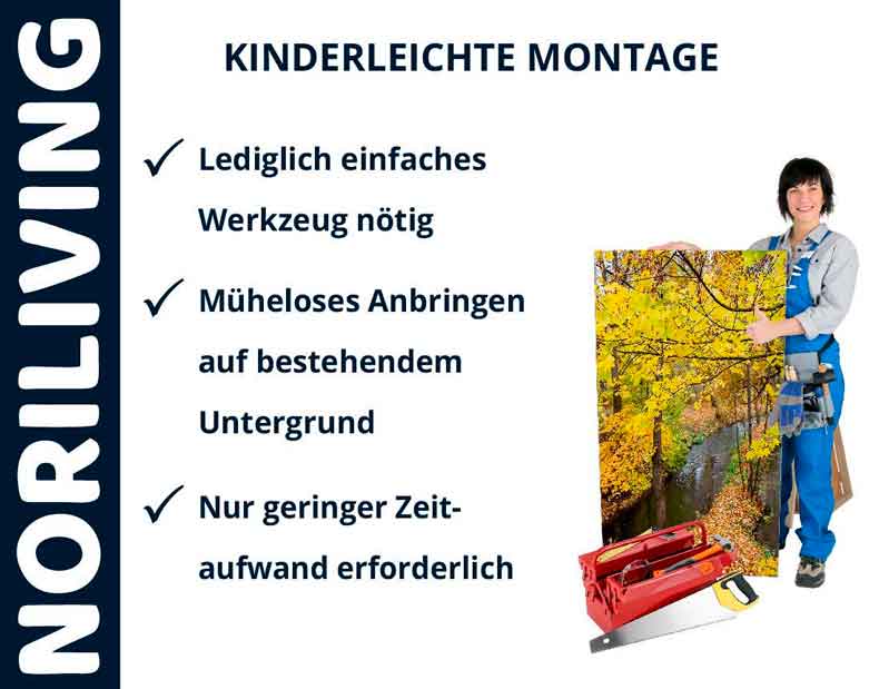 Werbung für Noriliving Produkte mit einfacher Montage: Frau zeigt auf Leinwand mit herbstlicher Landschaft, daneben Werkzeugkoffer.