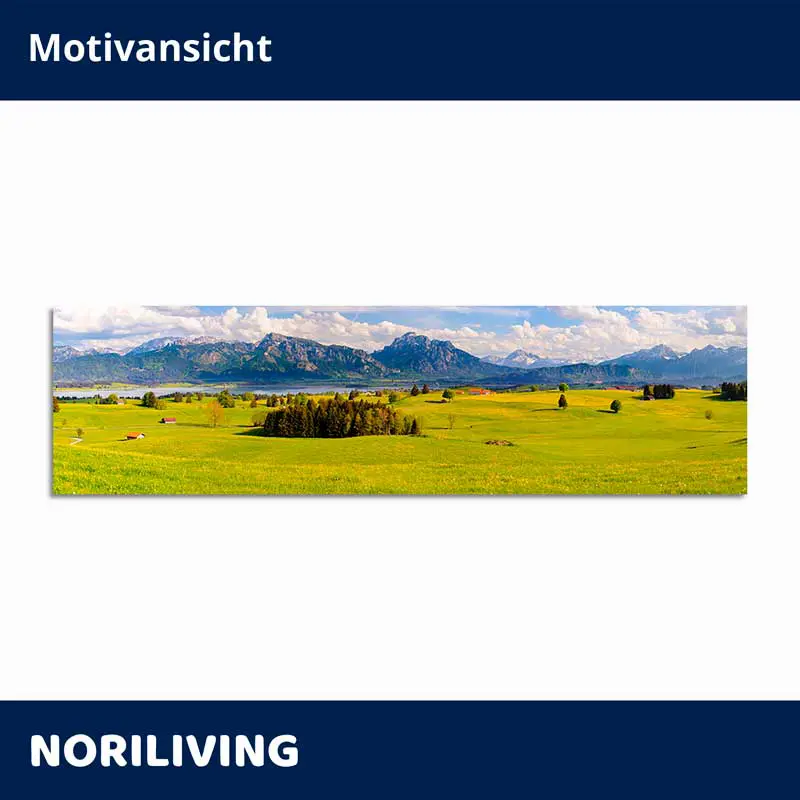 Panoramabild einer grünen Wiese vor Alpenbergen