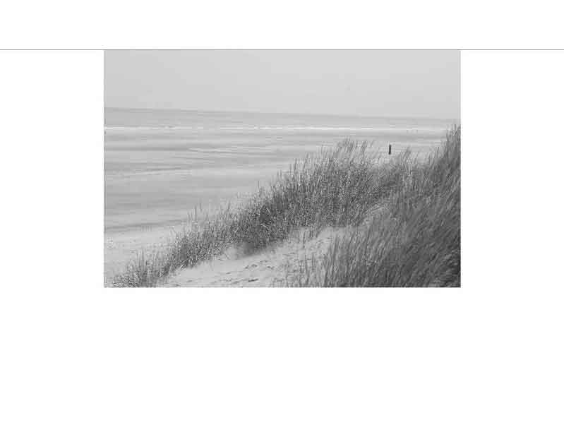 Schwarz-weiß Aufnahme eines sandigen Strandes mit Dünen im Vordergrund und ruhigem Meer im Hintergrund