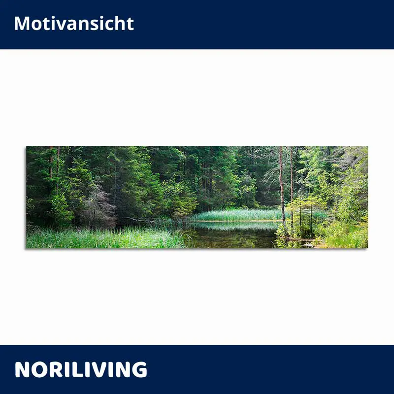 Grüner Waldsee mit Schilf im Panoramaformat