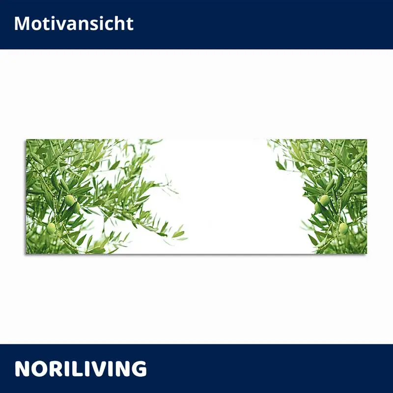 Olivenzweige auf weißem Panorama-Leinwandbild