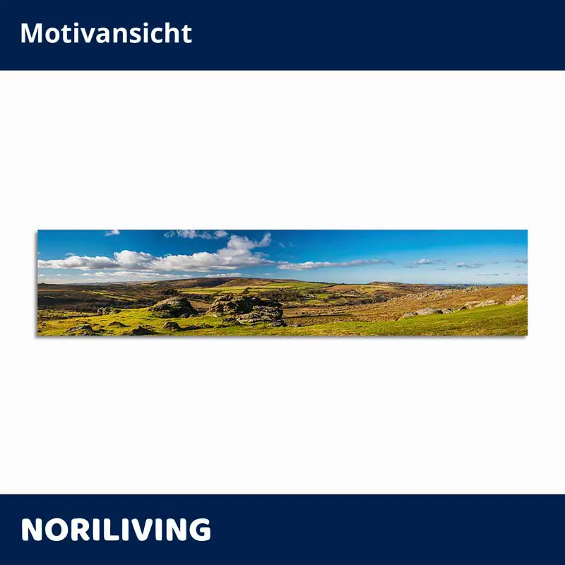 Panorama-Wandbild mit grünem Moor und blauem Himmel