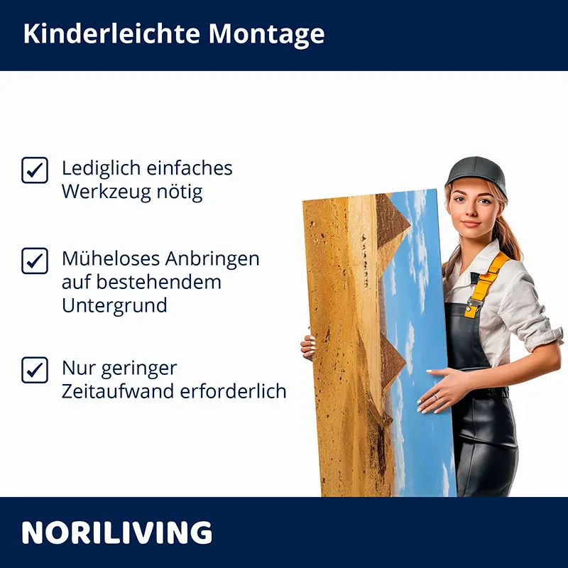 Montagehinweis: Frau mit Bilderplatte und Checkliste