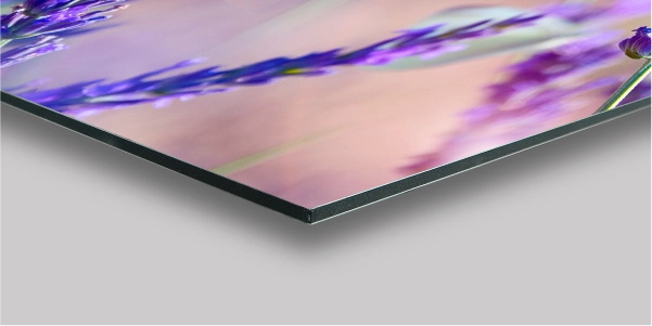 Detailaufnahme Ecke eines Lavendel-Alu-Dibond Drucks