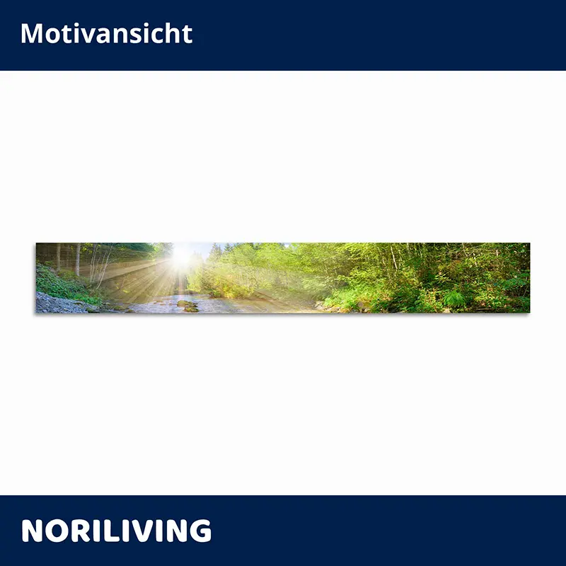 Wandbild: Fluss im Wald, Sonne durch Bäume