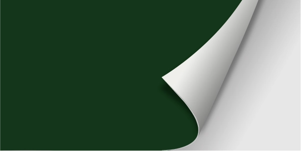 Detail: grünes Papier, an Ecke nach oben gebogen