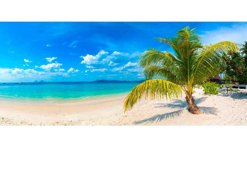 Ein sonniger, tropischer Strand mit einer einzelnen Palme, blauem Himmel und türkisfarbenem Meer.