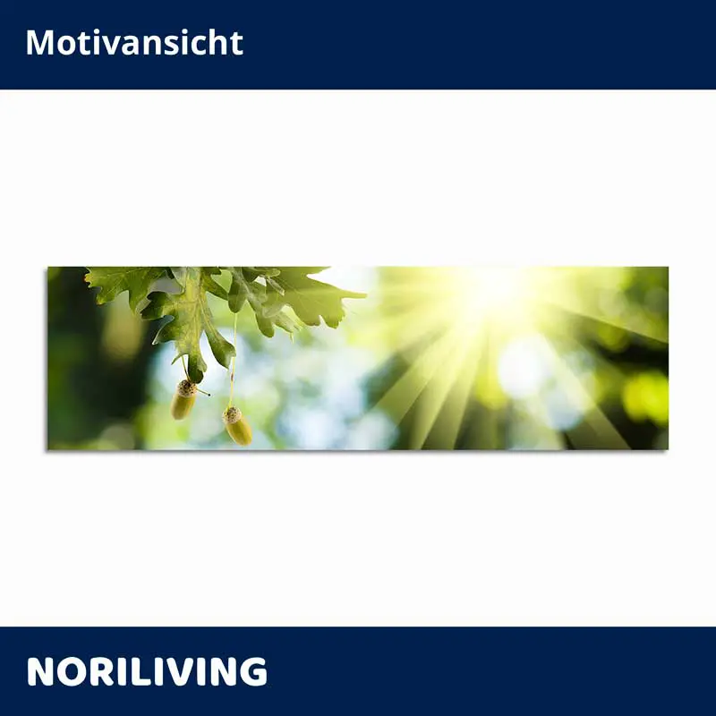 Panoramabild: Eichenlaub, Eicheln und Sonnenstrahlen