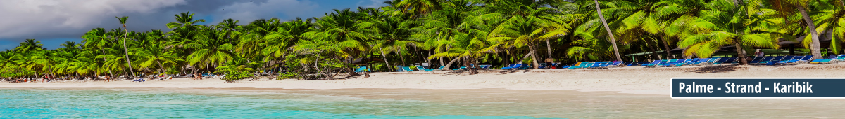 Ein ruhiger tropischer Strand in der Karibik mit üppigen Palmen und türkisfarbenem Wasser.