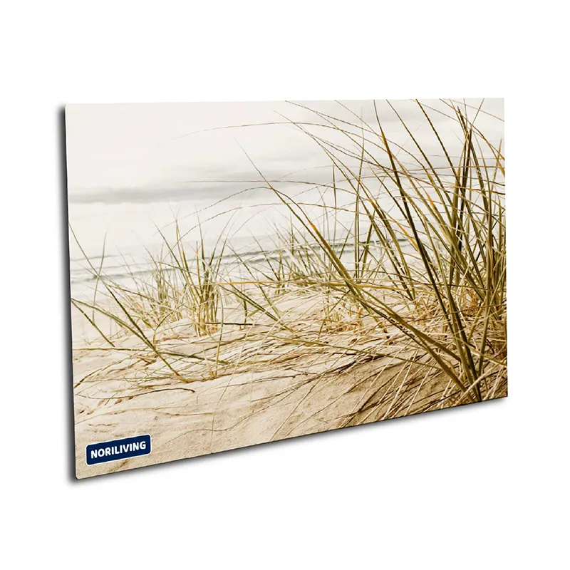 Muster Duschrückwand Dünen Gras Strand 543