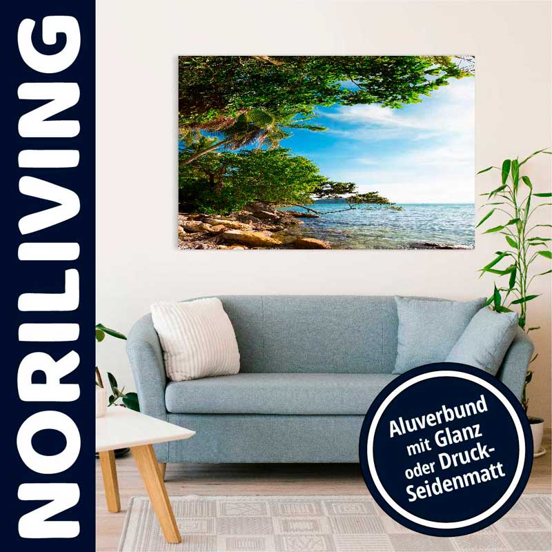 Ein Wohnzimmer mit einem blauen Sofa und einem großen Landschaftsbild an der Wand, gedruckt auf Aluminiumverbund mit glänzender oder druckseidenmatter Oberfläche.