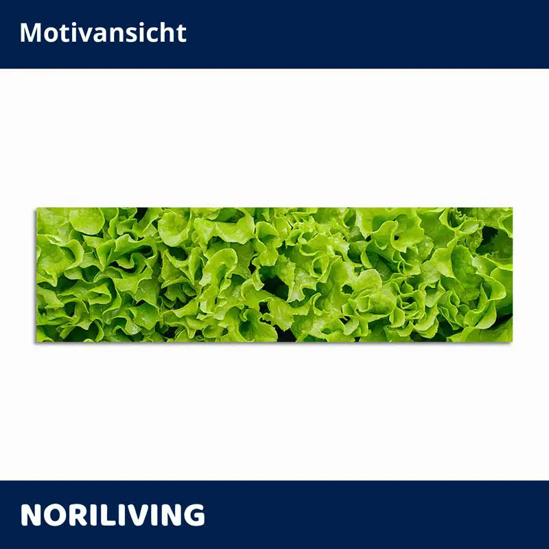 Grüne Salatblätter als dekoratives Panorama