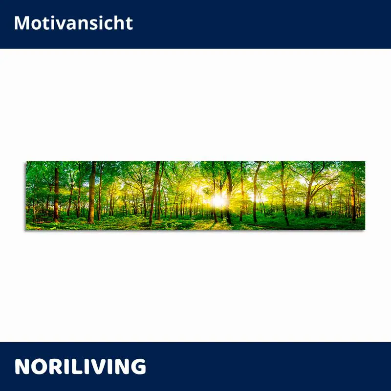 Panoramabild Wald bei Sonnenaufgang