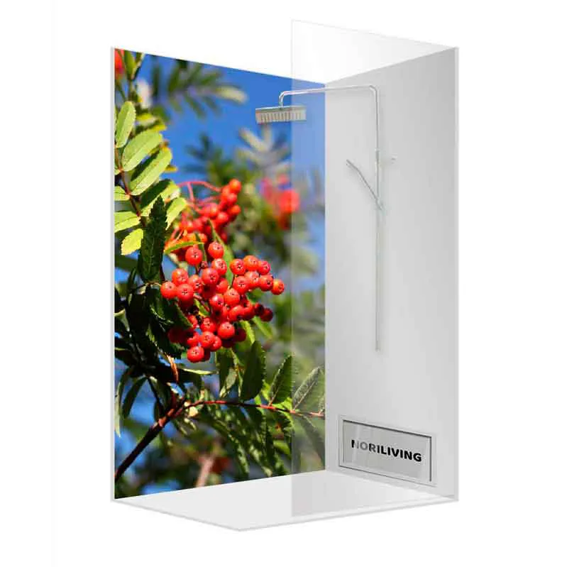 Eckdusche mit Glasbild Vogelbeeren und Regendusche