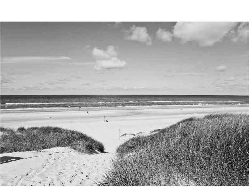 Schwarz-Weiß-Foto eines Strandes mit Dünen und Blick auf das Meer