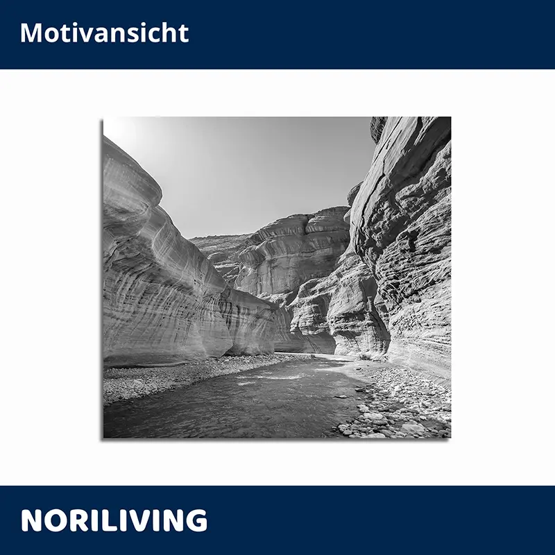 Schwarzweißaufnahme eines Canyons mit Fluss