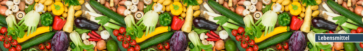 Verschiedene frische Gemüsesorten wie Paprika, Gurken, Tomaten, Auberginen und mehr in einem bunten Arrangement