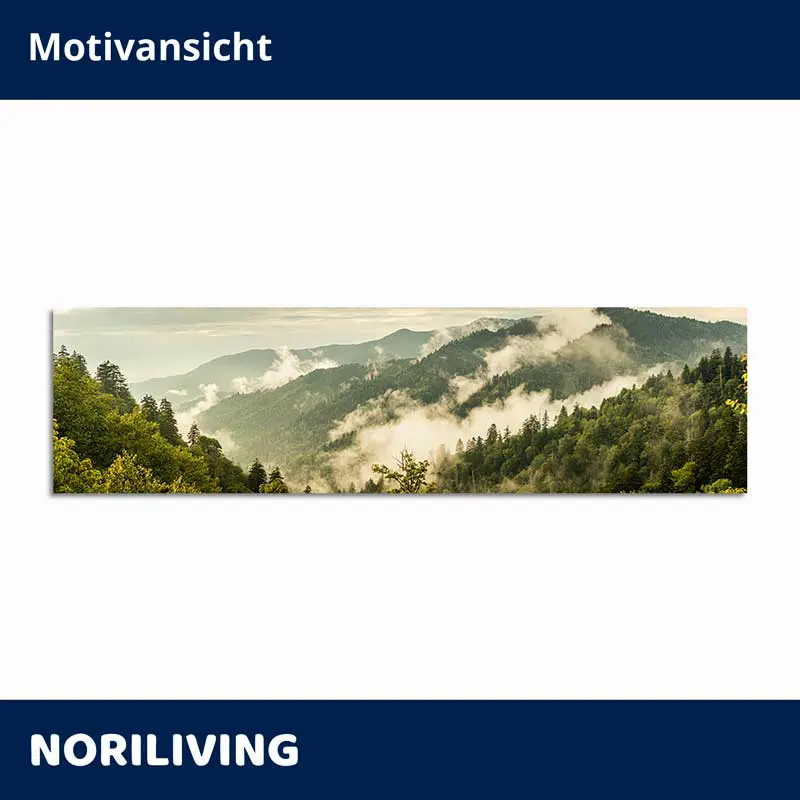 Panorama Bergwald mit Nebel