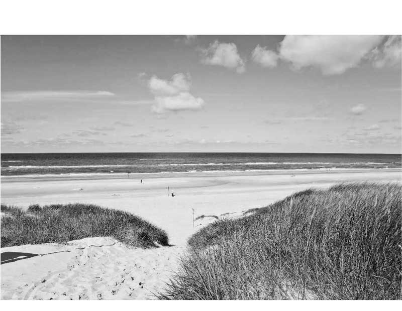 Ein ruhiger Strand mit Dünen im Vordergrund und dem Meer im Hintergrund, in Schwarzweiß.