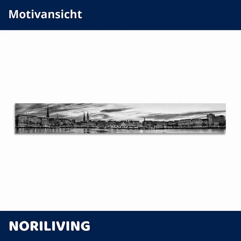 Panoramabild Hamburg Binnenalster schwarz-weiß