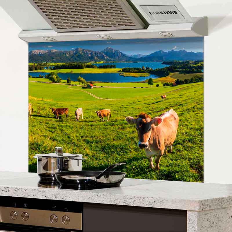 Spritzschutz Küche - Herd Alu Kühe in Alpenidylle 260