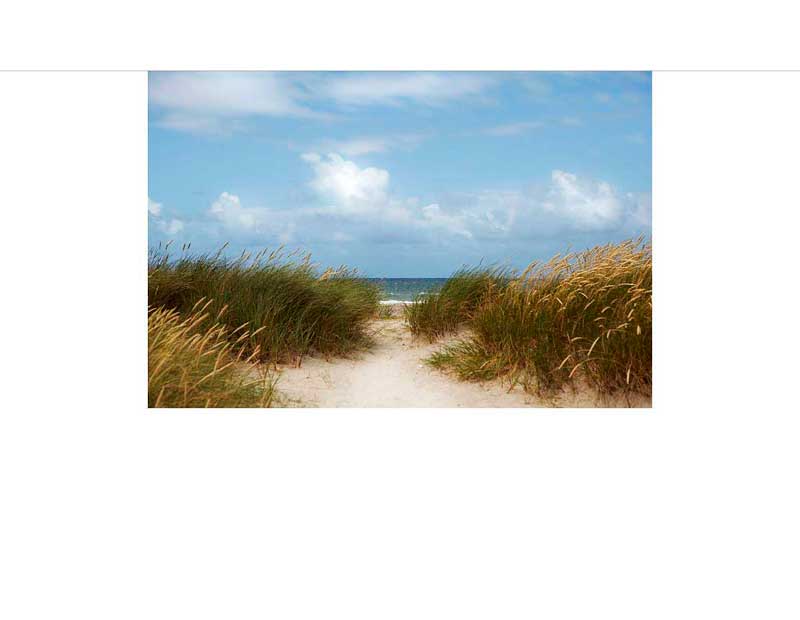 Ein sandiger Weg führt durch Dünen mit Grasbewuchs zum Meer, blauer Himmel im Hintergrund.