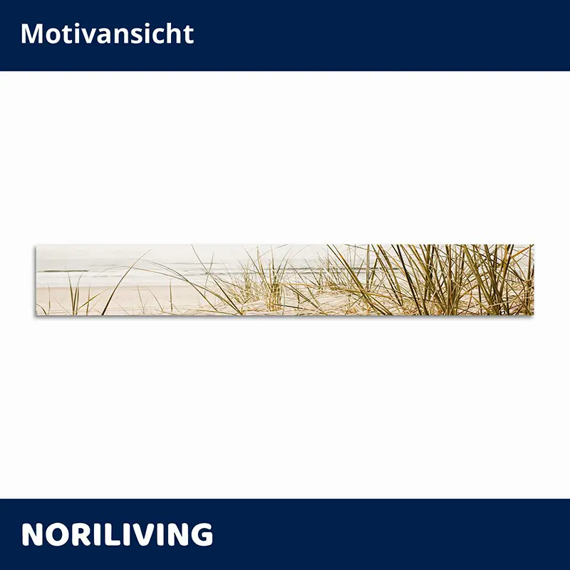 Breites Panorama Bild mit Strandhafer und Dünen