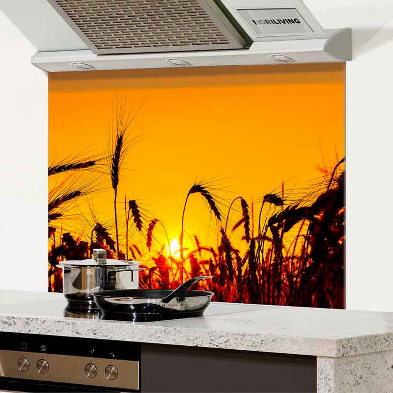 Spritzschutz Küche - Herd Alu Sonne über Getreidefeld im Sommer 939