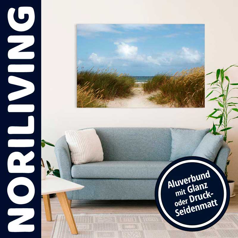 Modernes Wohnzimmer mit einem Wandbild, das einen Strandweg darstellt, auf Aluverbund gedruckt.