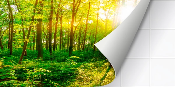 Grüner Wald hinter abziehbarer Fliese
